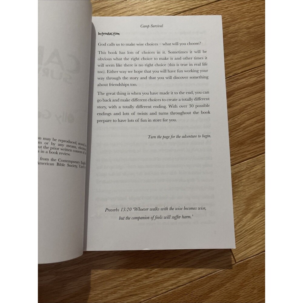 Camp Survival by Olly Goldenberg NEW - Where The Story Goes Is Based On Choices - Picture 9 of 14
